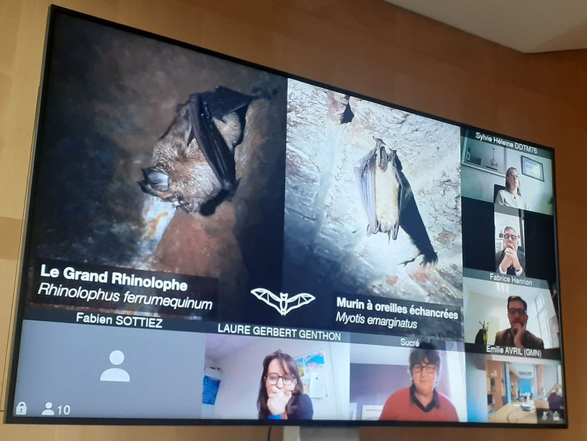 Comité de pilotage du 18 12 2020