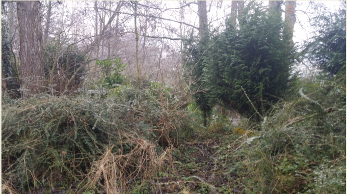 Contrat N2000 Saint Martin le Gaillard