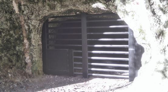 Grille pour cavité à chauves-souris