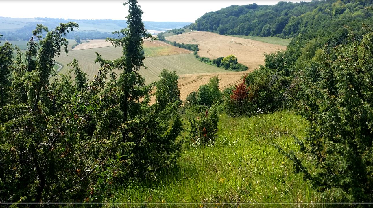 La forêt d'Eu et les pelouses adjacentes