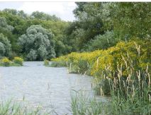 Iles et Berges de la Seine en Seine-Maritime