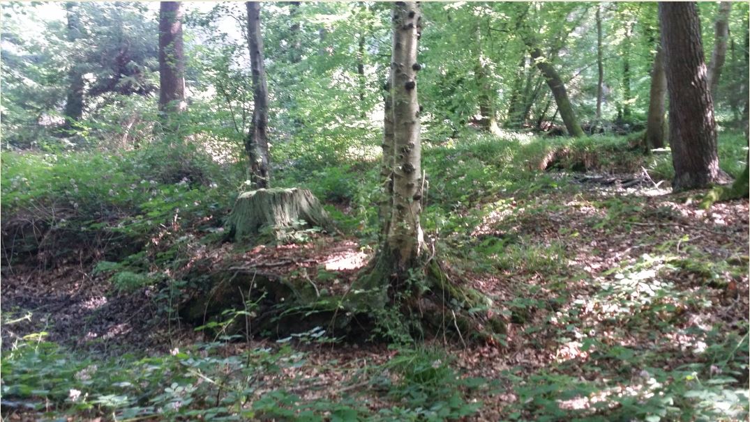 Forêt d'EU siège Madame