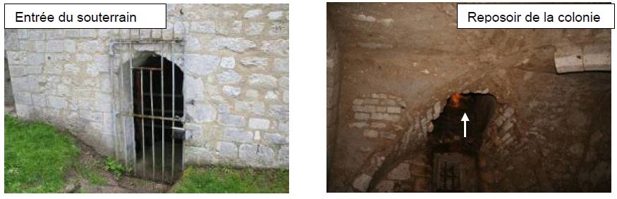 Souterrain Abbaye Jumièges